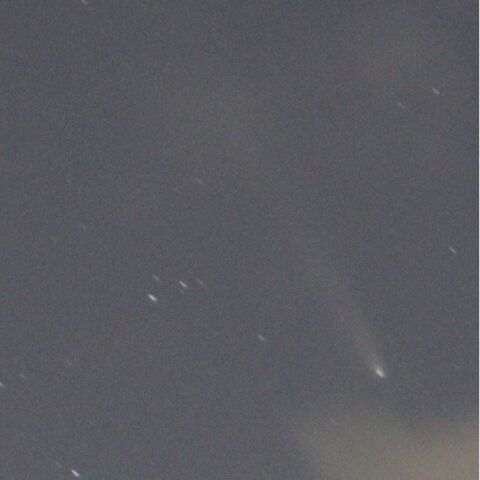 紫金山・アトラス彗星その2