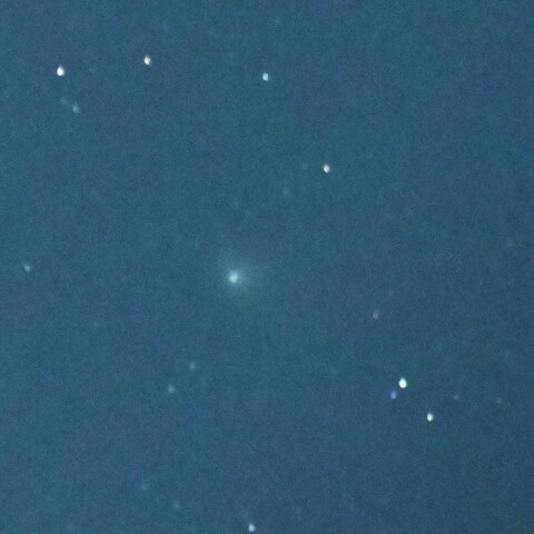 20230131/22:00のZTF彗星