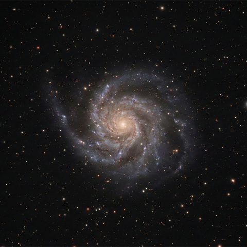 Vespera ⅡによるIC342の撮影（Nano Banana Proで加工）