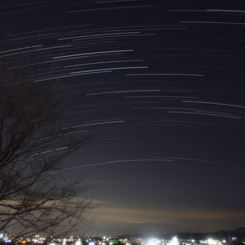 東京でのカノープス