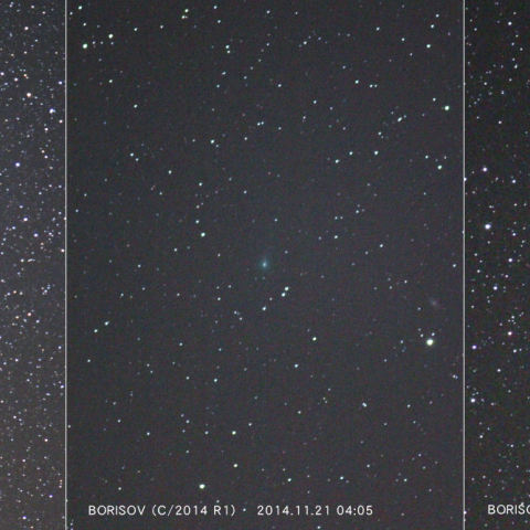 11/21未明の３彗星