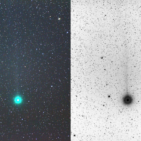 12/18-19のラブジョイ彗星