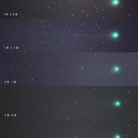 月光下のラブジョイ彗星