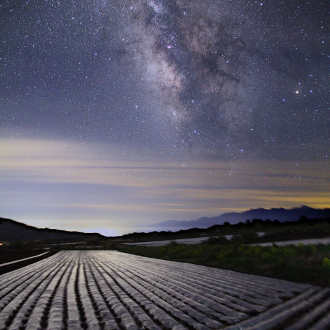 野菜畑と天の川