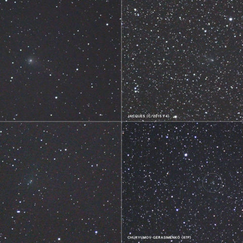 8月15日宵から16日未明にかけての4彗星