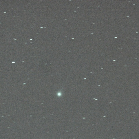 スワン彗星(2025/F2)