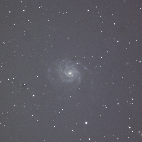 M101 回転花火銀河