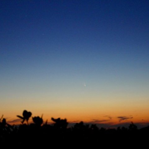 パンスターズ彗星＠大社町日御碕