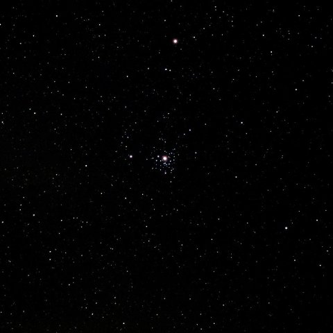 線香花火星団（NGC2362)