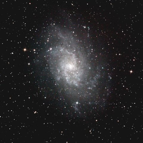 M33