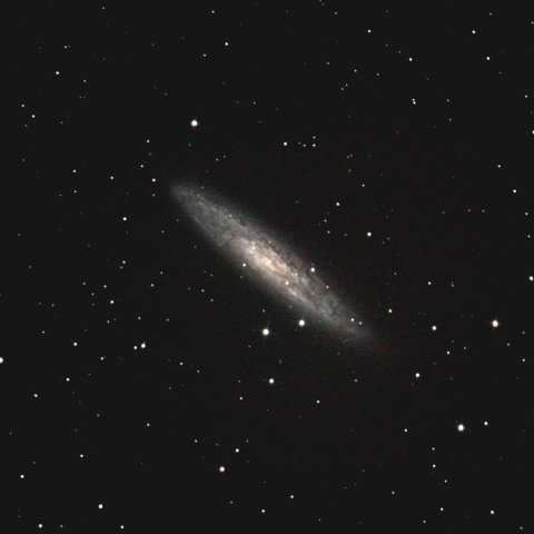 NGC253