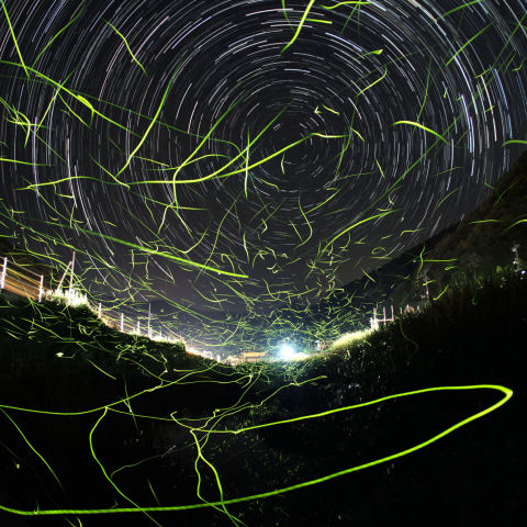 北天に乱舞するホタルと星々の光跡