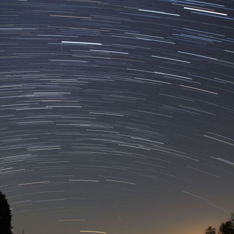 南の空低く南極老人星『カノープス』が行く