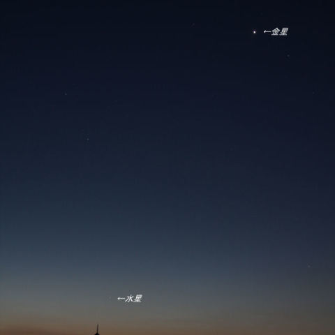 夜明け前に揃った水星と金星