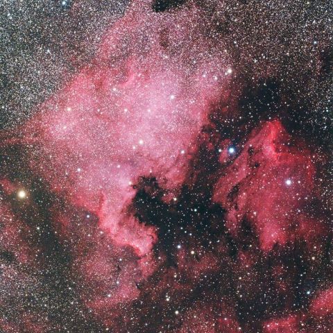 北アメリカ星雲とペリカン星雲