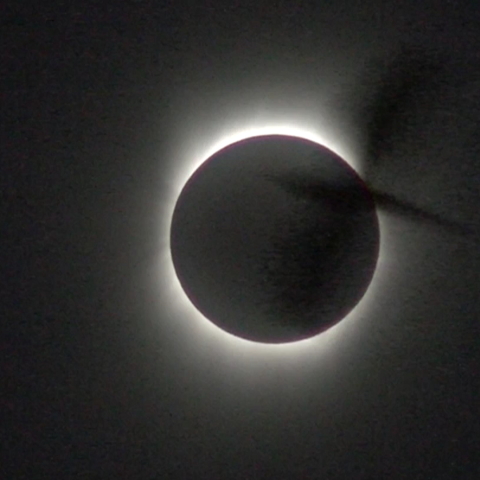 鳥鎮の皆既日食と鳥