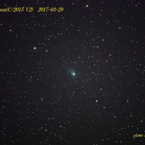 comet ジョンソン