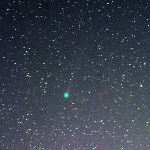 comet ラブジョイ