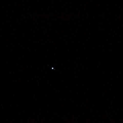 この写真を拡大してみるとびっくり！