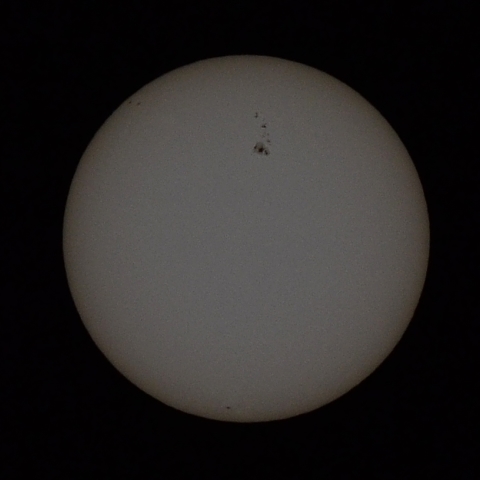 お陽さん　2012.5.9