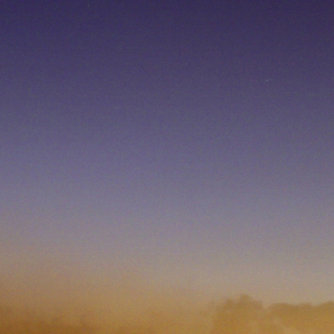 やっと姿をみせた彗星