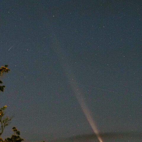 柴金山アトラス彗星