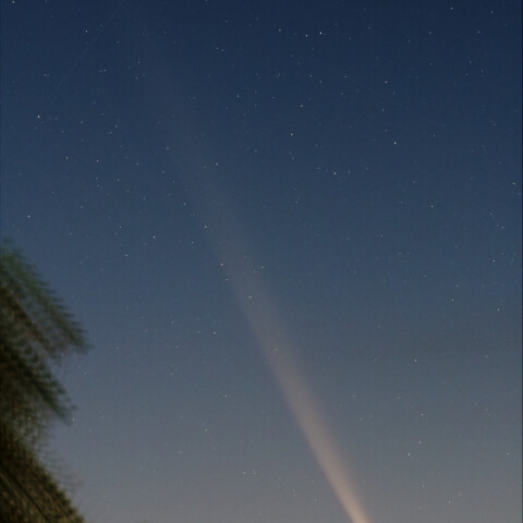 柴金山アトラス彗星