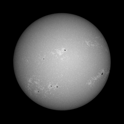 太陽（8月5日）