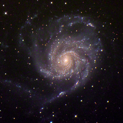 M101