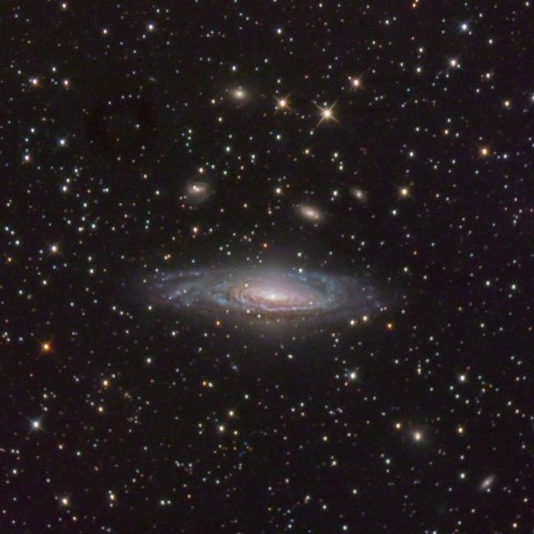 NGC7331
