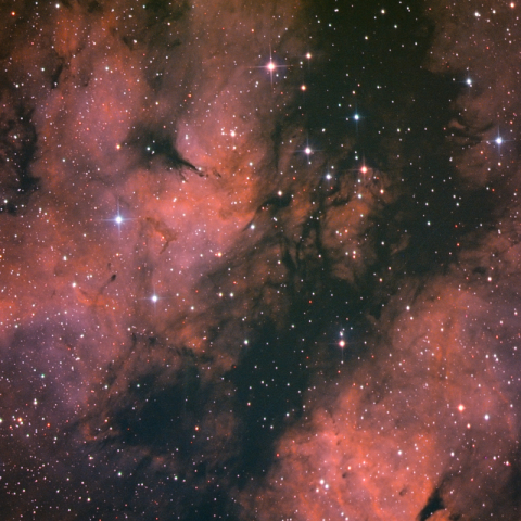 IC1318