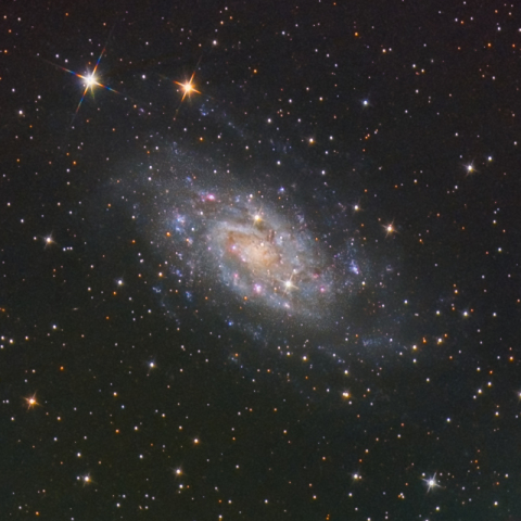 NGC2403
