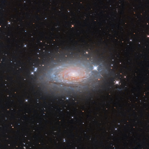 M63