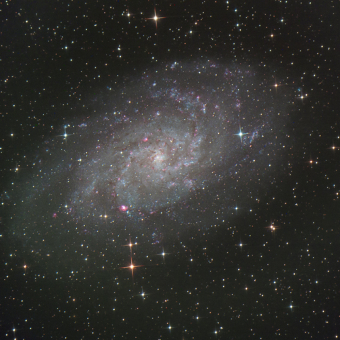 M33