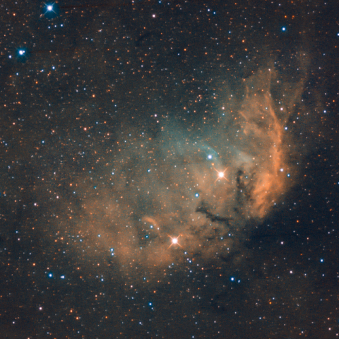 チューリップ星雲