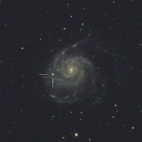 特集 2011年8～9月 M101の超新星2011fe - 天体写真ギャラリー