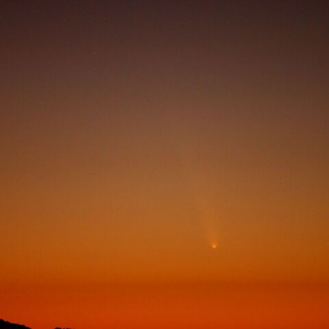10月12日宵　紫金山-アトラス彗星（2）