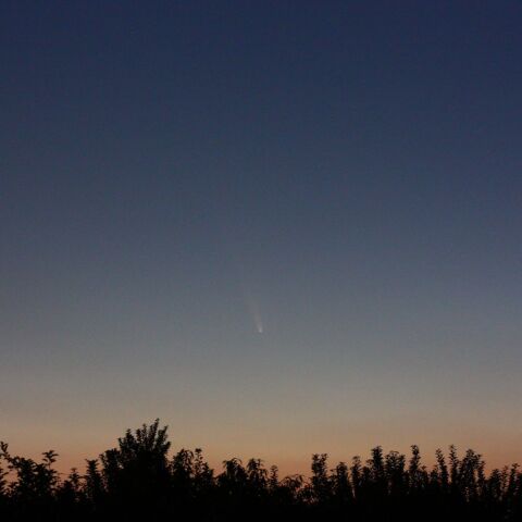 10月13日宵　紫金山-アトラス彗星