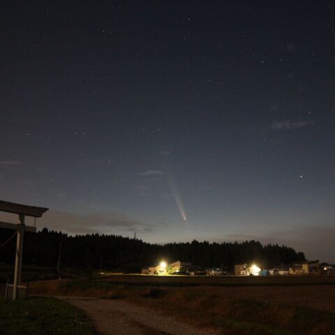 10月14日宵　紫金山-アトラス彗星(2)
