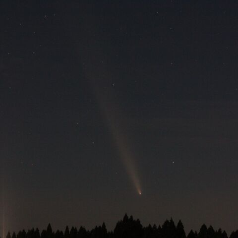 10月14日宵　紫金山-アトラス彗星(3)