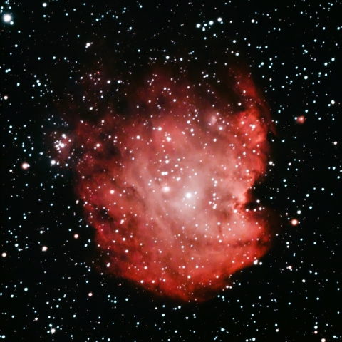 11/09のモンキー星雲