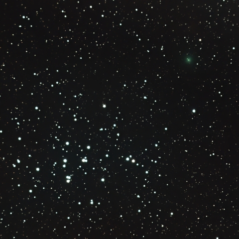 11/16の紫金山彗星（62P Tsuchinshan）とM44