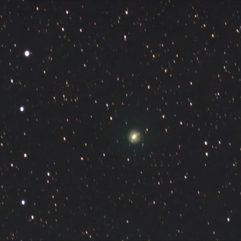 11/21の12P(Pons-Brooks)