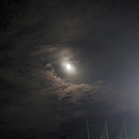 11/27の月（ビーバームーン）