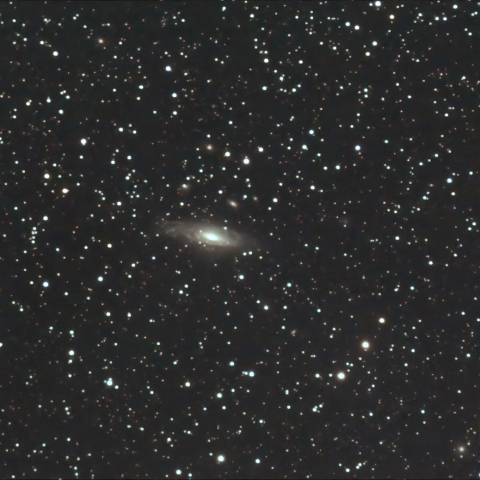 12/08のNGC7331＆ステファンの五つ子Part2