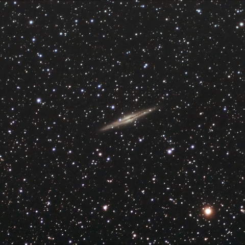 12/08のNGC891