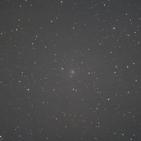 12/29の12P(Pons-Brooks)