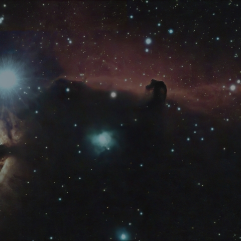 2/13の馬頭星雲付近