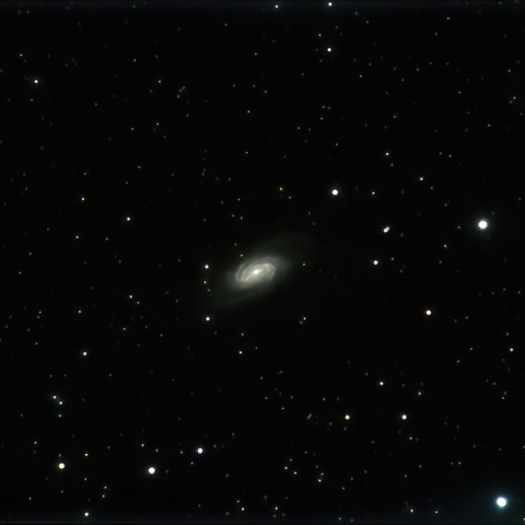 2/17のNGC2903