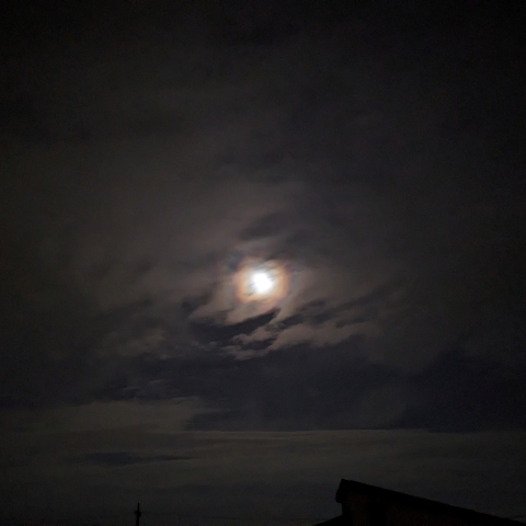 特集 2024年5月23日 フラワームーン - 天体写真ギャラリー